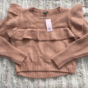 Wild Fable Mauve Crop Sweater